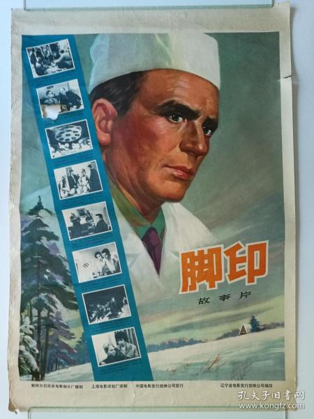 cfa猫证书办理条件